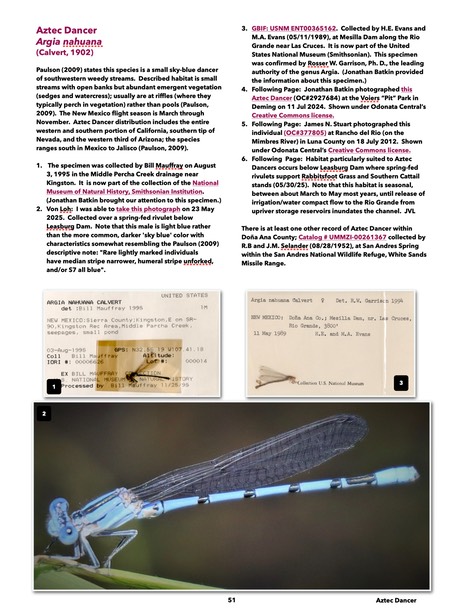 Aztec dancer addendum cover