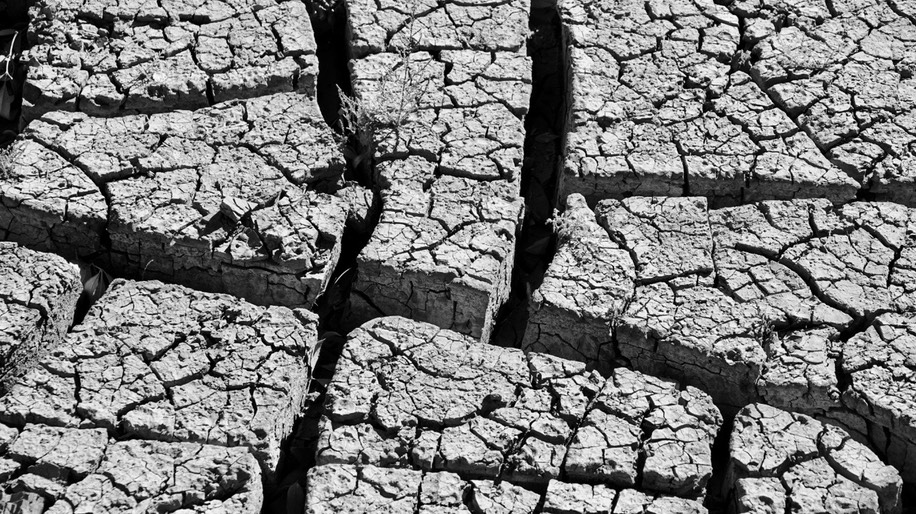 Cracks in the Mud- Caballo Dam