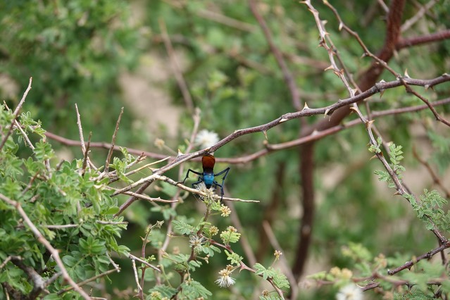 DSC00125