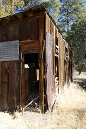 IMG_2417