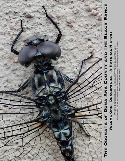 odonata-vol-1-ver-2-cover med hr