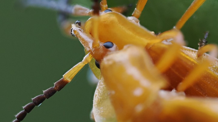 P7210120